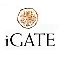 IGate Technology Inc Career